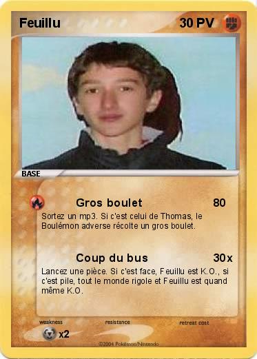 Pokemon Feuillu