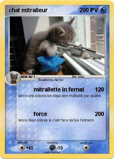 Pokemon chat mitralleur