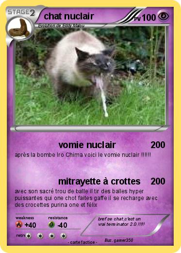 Pokemon chat nuclair