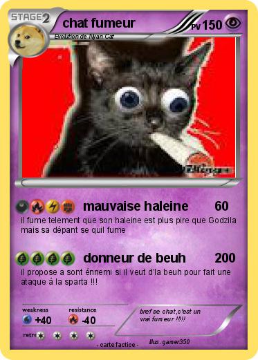 Pokemon chat fumeur