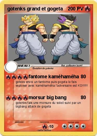 Pokemon gotenks grand et gogeta