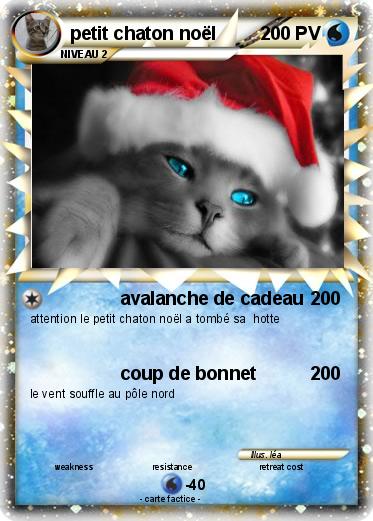 Pokemon petit chaton noël