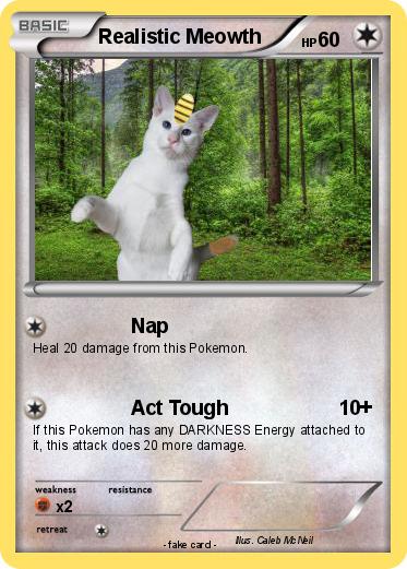 Pokemon Realistic Meowth