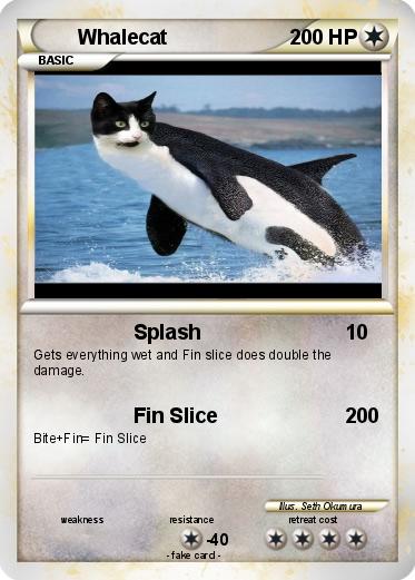 Pokemon Whalecat