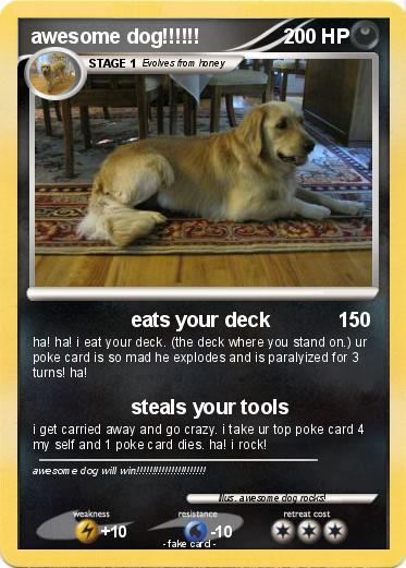 Pokemon awesome dog!!!!!!