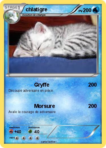 Pokemon chlatigre