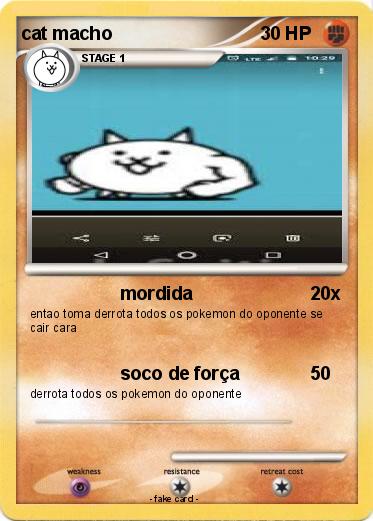 Pokemon cat macho