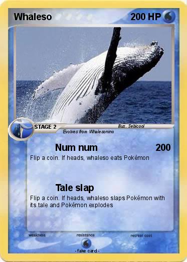 Pokemon Whaleso