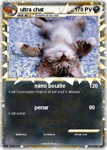 Pokemon ultra chat