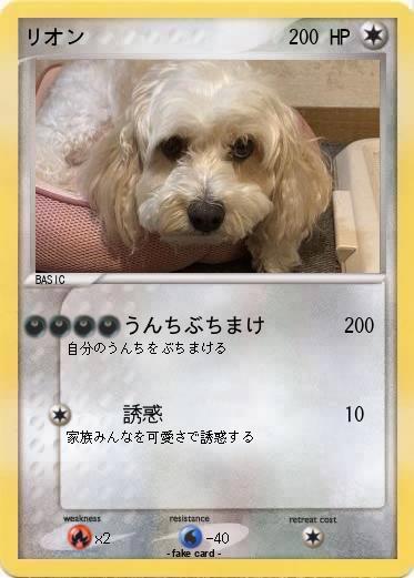Pokemon リオン