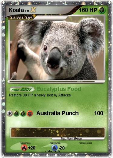 Pokemon Koala