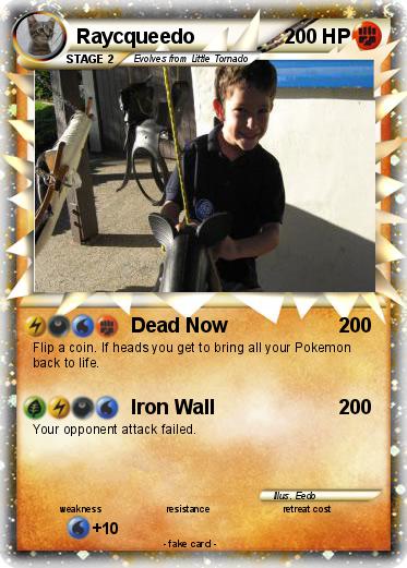 Pokemon Raycqueedo