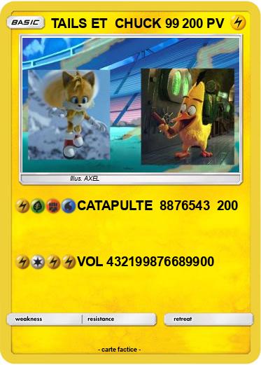 Pokemon TAILS ET  CHUCK 99