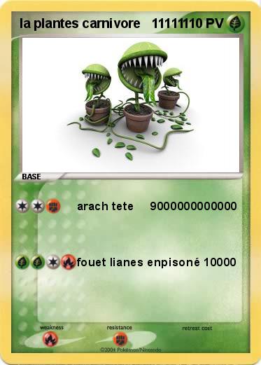 Pokemon la plantes carnivore   11111