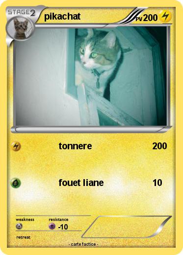 Pokemon pikachat