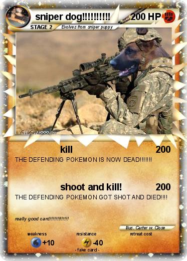 Pokemon sniper dog!!!!!!!!!!
