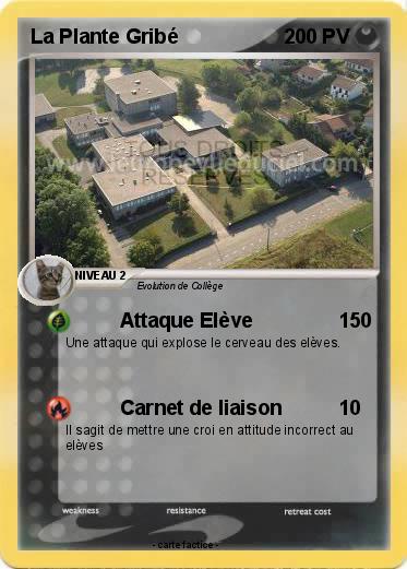 Pokemon La Plante Gribé