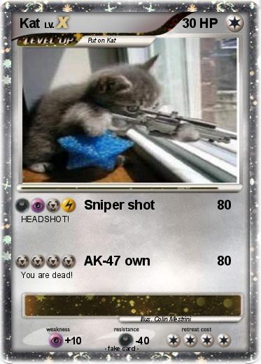 Pokemon Kat