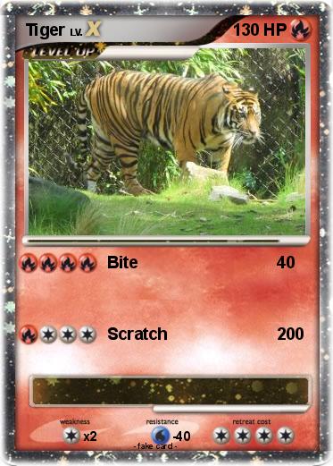 Pokemon Tiger
