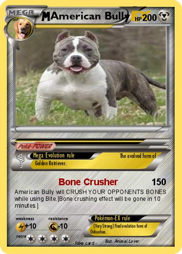 Pokemon American Bully