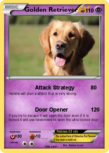 Pokemon Golden Retriever
