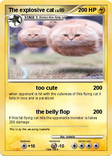 Pokemon The explosive cat