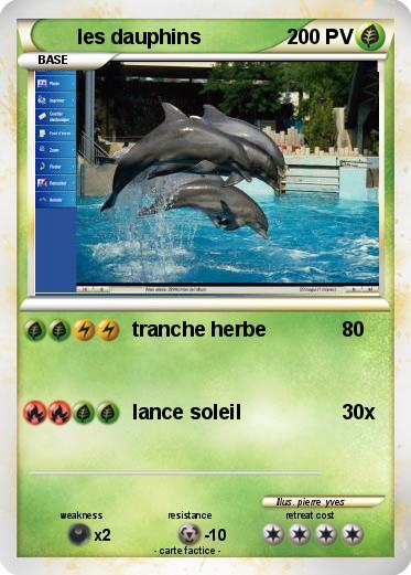 Pokemon les dauphins