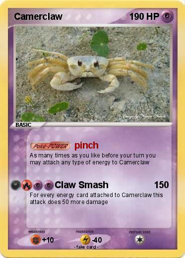 Pokemon Camerclaw
