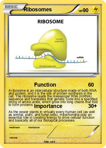 Pokemon Ribosomes