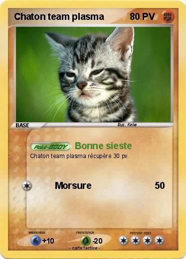 Pokemon Chaton team plasma