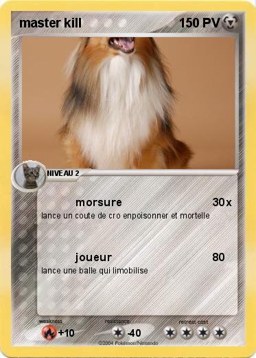 Pokemon master kill
