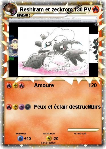 Pokemon Reshiram et zeckrom