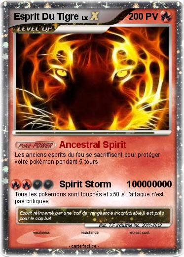 Pokemon Esprit Du Tigre