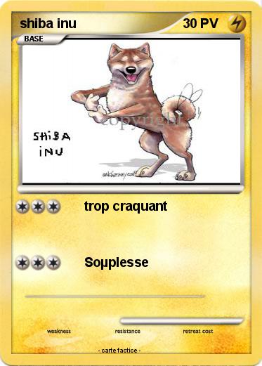 Pokemon shiba inu