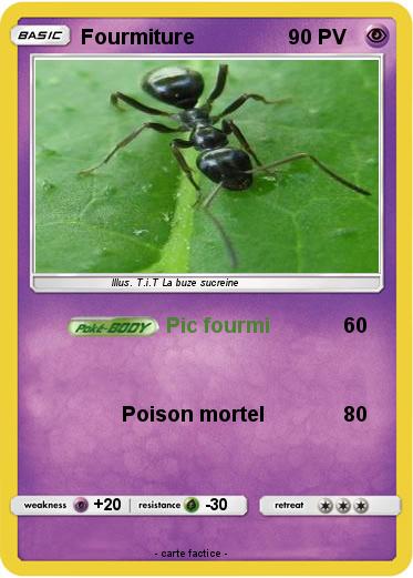 Pokemon Fourmiture