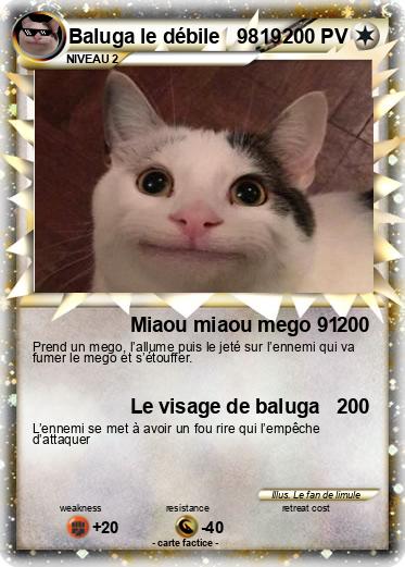 Pokemon Baluga le débile   9819