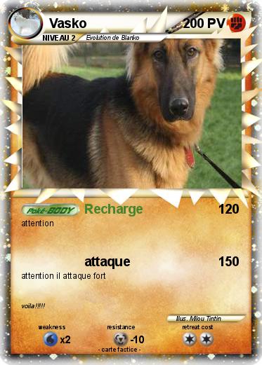 Pokemon Vasko