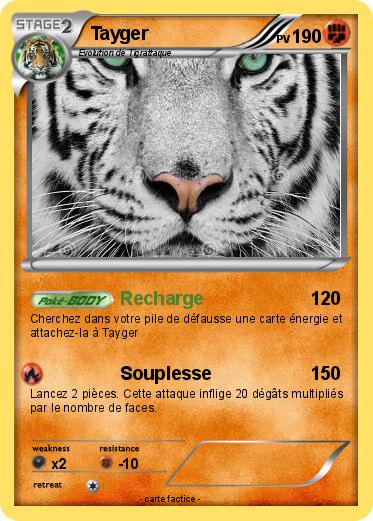 Pokemon Tayger