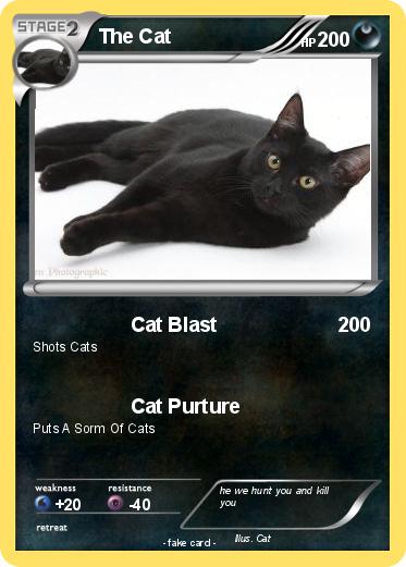 Pokemon The Cat