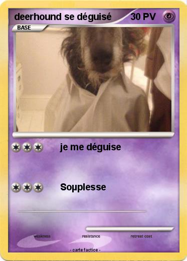 Pokemon deerhound se déguisé