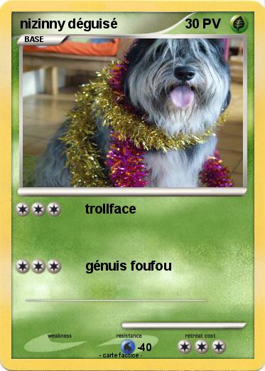 Pokemon nizinny déguisé