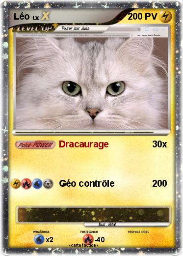 Pokemon Léo