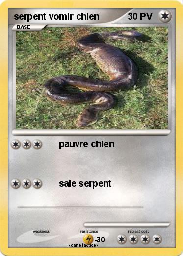 Pokemon serpent vomir chien