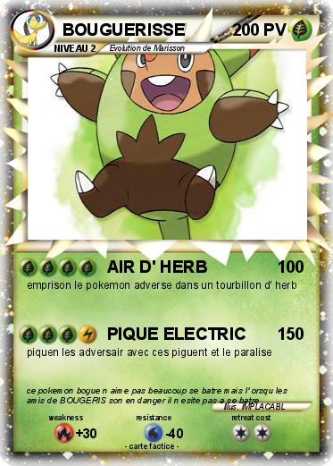 Pokemon BOUGUERISSE