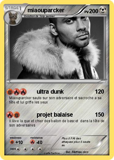 Pokemon miaouparcker