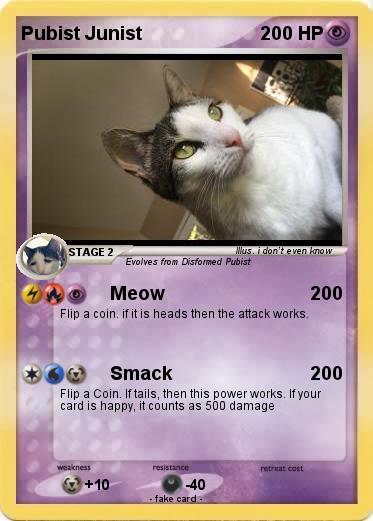 Pokemon Pubist Junist