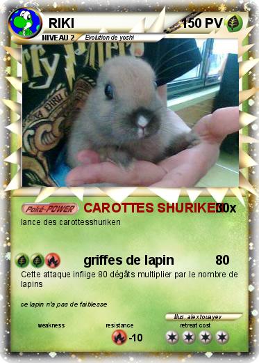 Pokemon RIKI