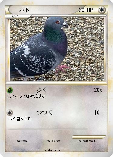 Pokemon ハト