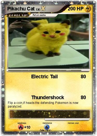 Pokemon Pikachu Cat