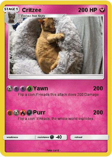 Pokemon Critzee
